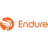 endure capital logo