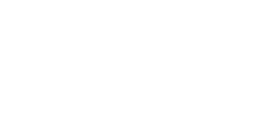 Revo Capital